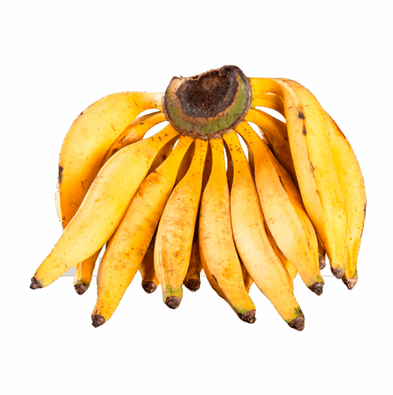 Banana da Terra