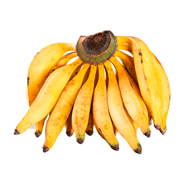 Coopatan