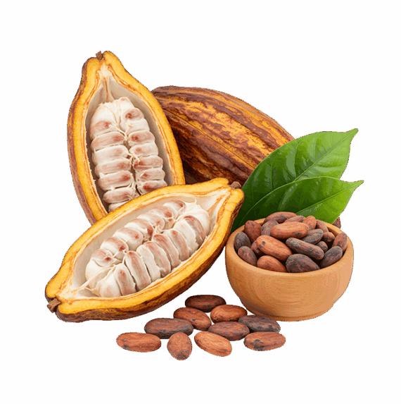 Cacau